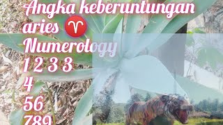 angka keberuntungan numerology zodiak aries ♈ [upl. by Myrt337]