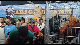 FIESTAG 24 PINAGKAGULUHAN KAGAD ANG EAJ GAMEFARM [upl. by Publus]