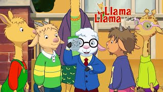 Llama Llama and Friends Learn about Work and Money [upl. by Revell295]