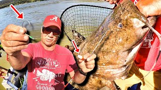 THIS Catfish Fishing Setup Catches MONSTERS How To Locate and Catch Trophy Catfish [upl. by Avie]