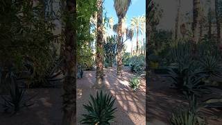 Majorelle Garden Marrakech Morocco Jardin Majorelle [upl. by Ahsiuqal479]