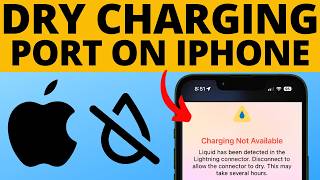 How to Dry iPhone Charging Port  2024 [upl. by Birkner993]