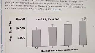 Pour certains répondent mieux à lanabolisme des BCAA que dautres [upl. by Eustazio666]