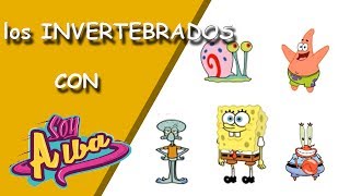 Los animales INVERTEBRADOS para niños primaria con Bob Esponja [upl. by Nylodam449]