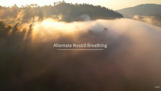 Alternate Nostril Breathing  Chakra 4  Aveda [upl. by Floss]