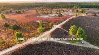 Blühender Gipfel des Brunsberg  Lüneburger Heide [upl. by Yelsgnik]