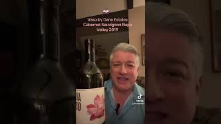 Vaso by Dana Estates Cabernet Sauvignon Napa Valley 2019 wine review napawine winetasting wow [upl. by Haissem130]