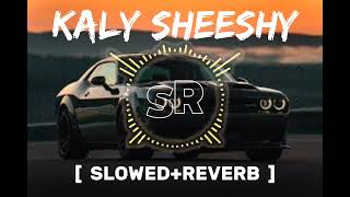 KALY SHEESHY SLOWEDREVERBLOFISONGSSRTREND [upl. by Razaele]