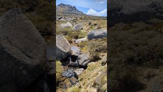 Climbing Mt Kosciuszko hiking nationalpark nature australia mountains photography landscape [upl. by Coonan]