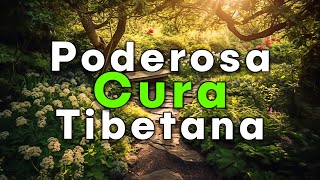 💚 Flauta Cura Tibetana Poderosa  Elimina Toda Toxicidade Enérgica  Curar Corpo Mente E Espírito [upl. by Myna]