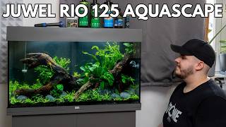 Juwel Rio 125 Aquascape Aquarium einrichten [upl. by Bennir655]