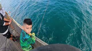 South Florida pier fishing DANGEROUS EXOTICS [upl. by Sesom]