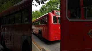 Bus Spotting in Chessington London Transport AEC Regal IV RF406 MXX 294 Route 71 to Kingston [upl. by O'Brien]