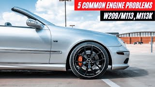 Mercedes Benz CLK500 CLK55 W209 Engine Diagnostics Problems Everything You Need To Know [upl. by Demona13]