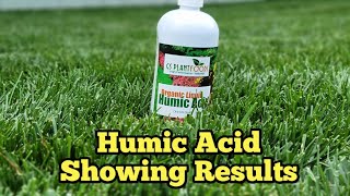 Humic Acid Application Mid Season Backyard Overview Update [upl. by Nievelt703]