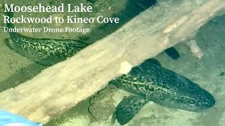 Underwater Drone Footage Moosehead Lake Rockwood to Kineo Cove [upl. by Hannahs]