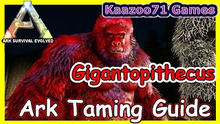 How to Tame a Gigantopithecus 💥 Ark Taming Guide [upl. by Mehitable401]