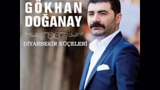 Gökhan Doğanay  Diyarbekir Küçeleri 2016 [upl. by Seuqramed860]