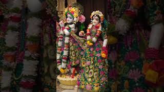 Vasudev Krishna naam hai mera Radha Krishna 🫀 statsushorts [upl. by Rolyat]