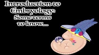 Embryology Terms [upl. by Odrautse]