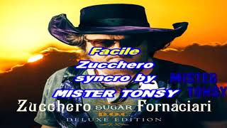 Zucchero  Facile KARAOKE DEMO [upl. by Xer]