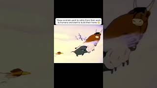 animals have feelings too anime movieexplainedinhindi movie shorts [upl. by Midian]