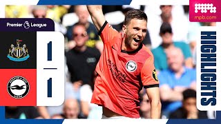 PL Highlights Newcastle 1 Brighton 1 [upl. by Hasila]