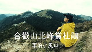 車泊小風口。合歡山北峰賞高山杜鵑 [upl. by Editha479]