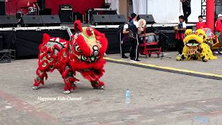 Atraksi BARONGSAI MINUM Pada FESTIVAL IMLEK [upl. by Jerz432]