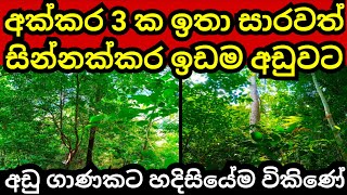 අක්කර 3 ක ඉඩම අඩු මුදලකට හදිසියේම විකිණේ  Land for sale  Aduwata idam  Agriculture land  Idam [upl. by Ayamat39]