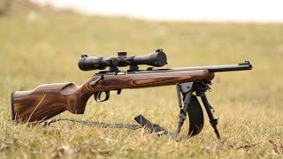 22 short accuracy in Ruger American Rimfire [upl. by Eannej]