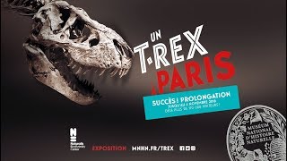 Exposition quotUn T rex à Parisquot [upl. by Aleunamme336]