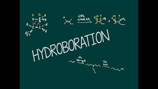 III2 Hydroboration [upl. by Euqinehs]