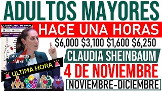 💥AVISO URGENTE 💥ALISTEN TARJETAS 🤑Adultos Mayores DEPÓSITO de NOVIEMBRE YA LO CONFIRMARON [upl. by Painter]