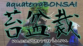 【aqua terrarium】アクアテラ盆栽【BONSAI】 [upl. by Nade]