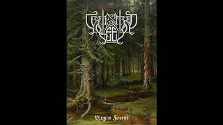 Sequestered Keep  Virgin Forest 2017 Dungeon Synth Medieval Ambient [upl. by Arutnev]