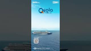 Qlola by BRIIntegrated Corporate Solution Platform Dengan satu kali log in Single Sign On [upl. by Maurilia]