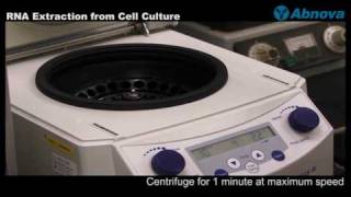 RNA Extraction from Cell Culture [upl. by Annehsat]