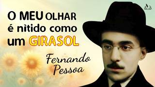 POEMA  O meu olhar é nítido como um girassol POETA Fernando Pessoa  canal Jardim da Poesia [upl. by Naujit]