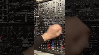 Behringer CAT Pro1Kobol and model D sequenced [upl. by Yecnay541]