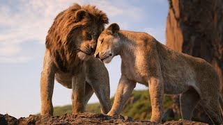 The Lion King 2019  Circle Of Life Reprise Icelandic 🇮🇸 1080p [upl. by Llerrod382]