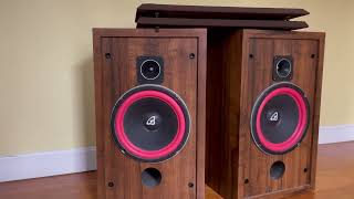 Vintage Cerwin Vega D2 Speakers [upl. by Tallia548]