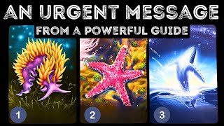 A Powerful Guide Has An URGENT Message For You ⭐️⭐️⭐️ ⎮pick a card 🃏 tarot reading [upl. by Somisareg]