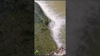 Subarnarekha waterfalls 🏞️🫧🌊🌊🫧🏞️🙏 please subscribe to my channel 🙏 [upl. by Dibru]