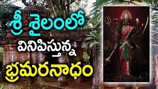 శ్రీశైలం అడవుల్లో తిరుగుతున్నా బ్రమరంబా దేవిIn Srisailam Lord shiva amp Bramaramba Devi Shown Miracle [upl. by Adan]