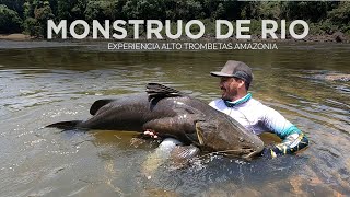 Pesca de Bagre gigante Monstruo de río Jaú en Alto Trombetas  Amazonia [upl. by Maurili]