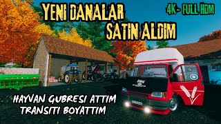 TARLAMI EKIME HAZIRLADIM HAYVAN GUBRESI ATIMI YAPIP  KURBANLIK DANA SATIN ALDIK  4K FULL HDM [upl. by Hourihan944]