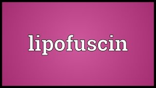 Lipofuscin Meaning [upl. by Lebasiairam607]