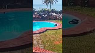 resort swimming pool death mangalore [upl. by Kosse567]