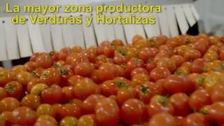 Don Simón  Gazpachos y Salmorejo  Planta de Almería [upl. by Waverly]